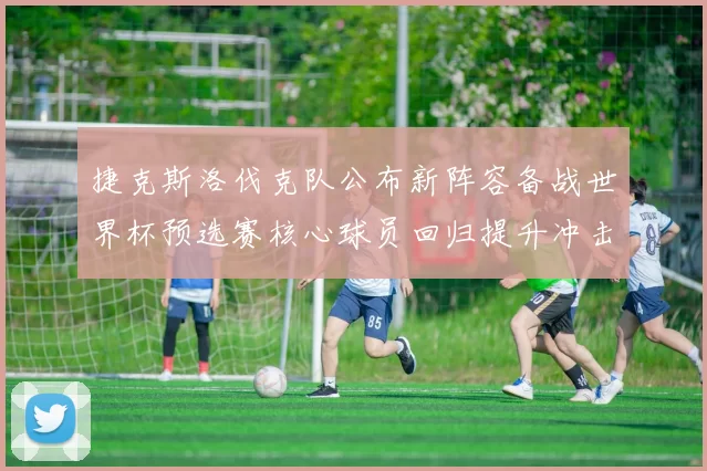 捷克斯洛伐克队公布新阵容备战世界杯预选赛核心球员回归提升冲击力