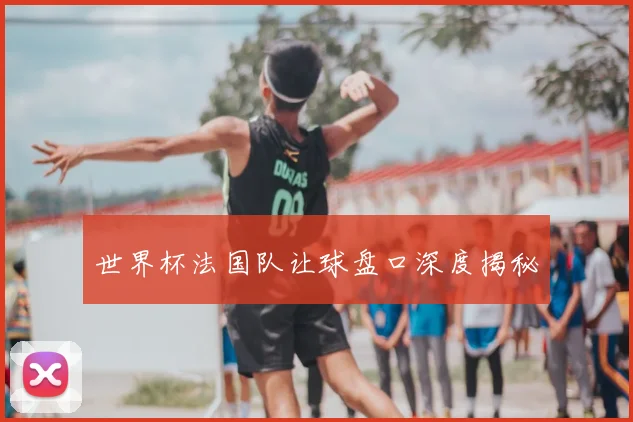 世界杯法国队让球盘口深度揭秘